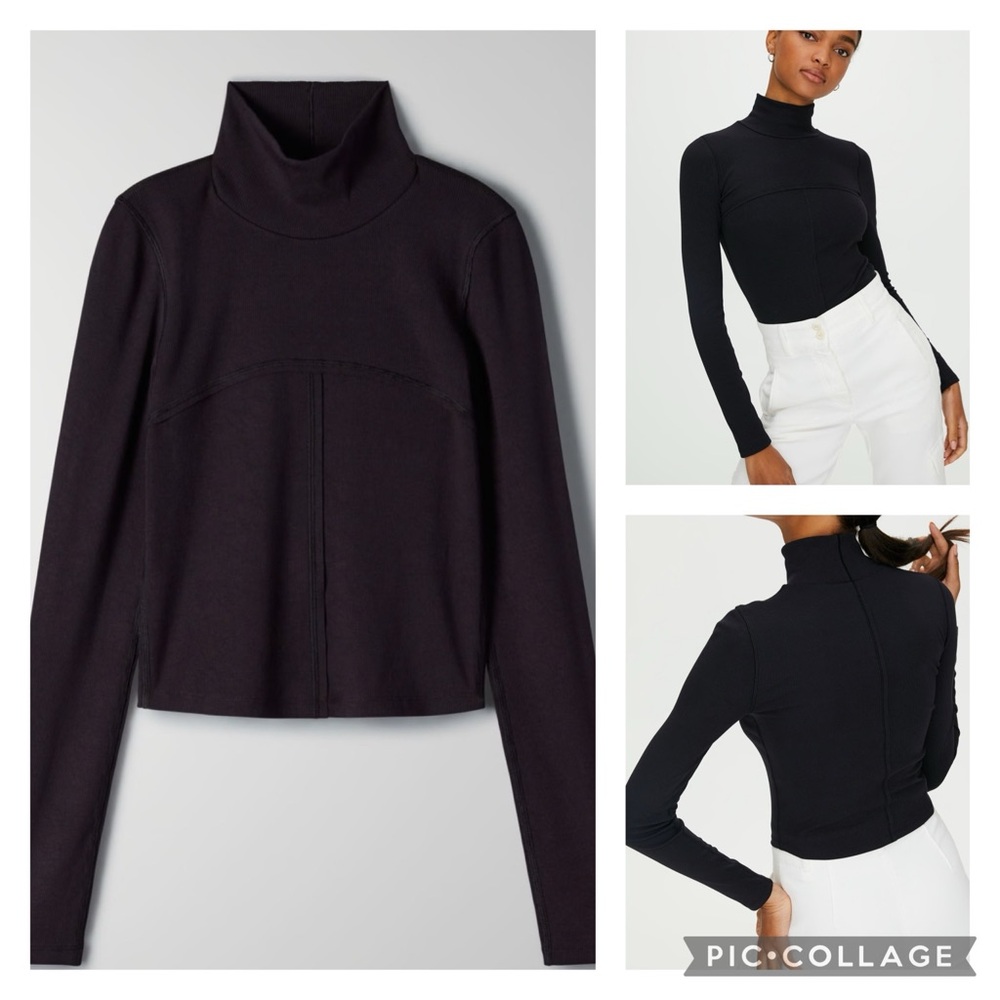 Wilfred Free Aritzia Moon Turtleneck